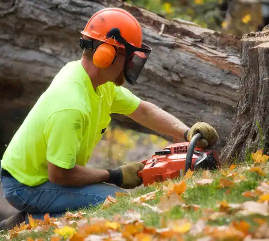 tree services Crab Orchard